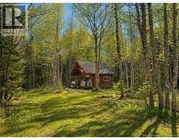 Lot 2 And Camp Old Portage Road, Anagance, NB E4Z1H5 Photo 12