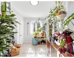 Kitchen - 303 Oakwood Avenue, Toronto, ON M6E2V3 Photo 12