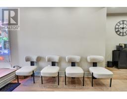 803 Dundas Street W, Toronto, ON M6J1V2 Photo 18