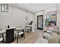 803 Dundas Street W, Toronto, ON M6J1V2 Photo 19