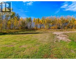 10111 253 Road, Dawson Creek, BC V0C2E0 Photo 44