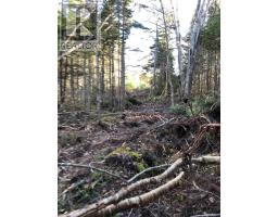 Lot 07-1 Highway 223, Big Beach, NS B1T1M2 Photo 6