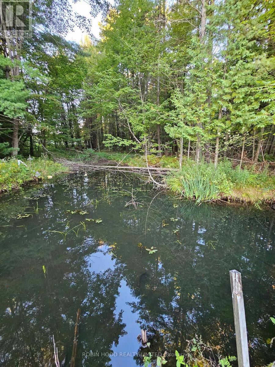 2239 SOUTHWOOD ROAD, Gravenhurst (Ryde) — photo 6