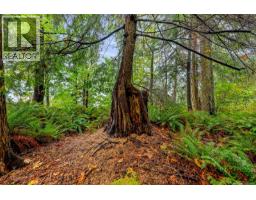 652 Fox Rd, Quadra Island, BC V0P1N0 Photo 81