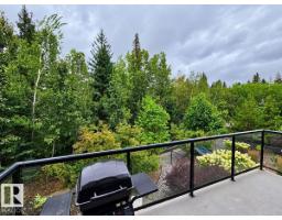 #5 1304 Rutherford Rd Sw, Edmonton, AB T6W0B4 Photo 12