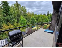 #5 1304 Rutherford Rd Sw, Edmonton, AB T6W0B4 Photo 14