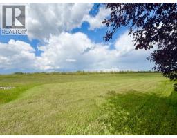 9804 102 Avenue, Sexsmith, AB T0H3C0 Photo 29