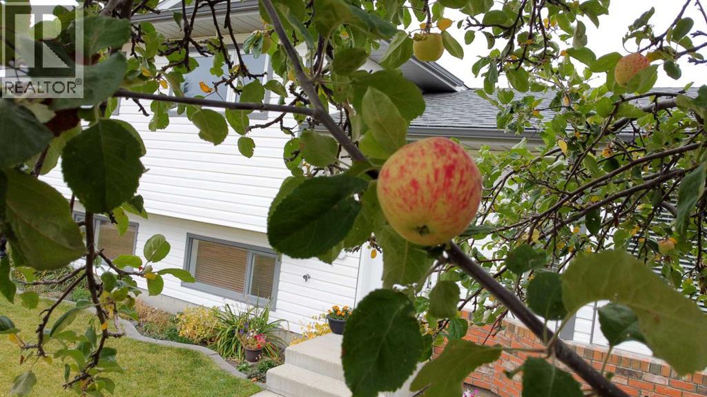 5715 58 Avenue, Olds, Alberta, T4H1K4 — thumbnail 8
