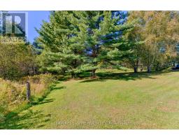 1085 Forest Lea Road, Laurentian Valley, ON K8A6W6 Photo 45