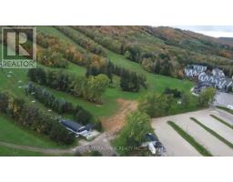796441 Grey County Rd 19 Road, Blue Mountains, ON L9Y0N6 Photo 36