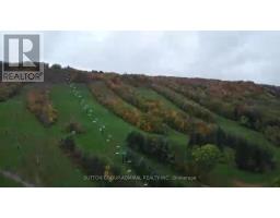 796441 Grey County Rd 19 Road, Blue Mountains, ON L9Y0N6 Photo 37