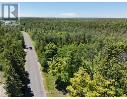 122 Tamarac Road, Northern Bruce Peninsula, ON N0H1W0 Photo 8