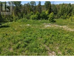118 Tamarac Road, Northern Bruce Peninsula, ON N0H1W0 Photo 7