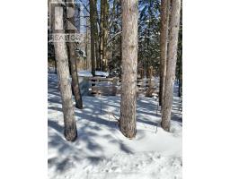 19770 County Road 25 Road, South Glengarry, ON K0C1L0 Photo 39