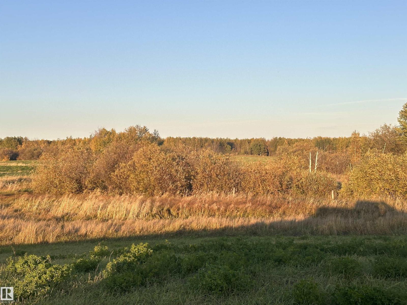 Photo 37
