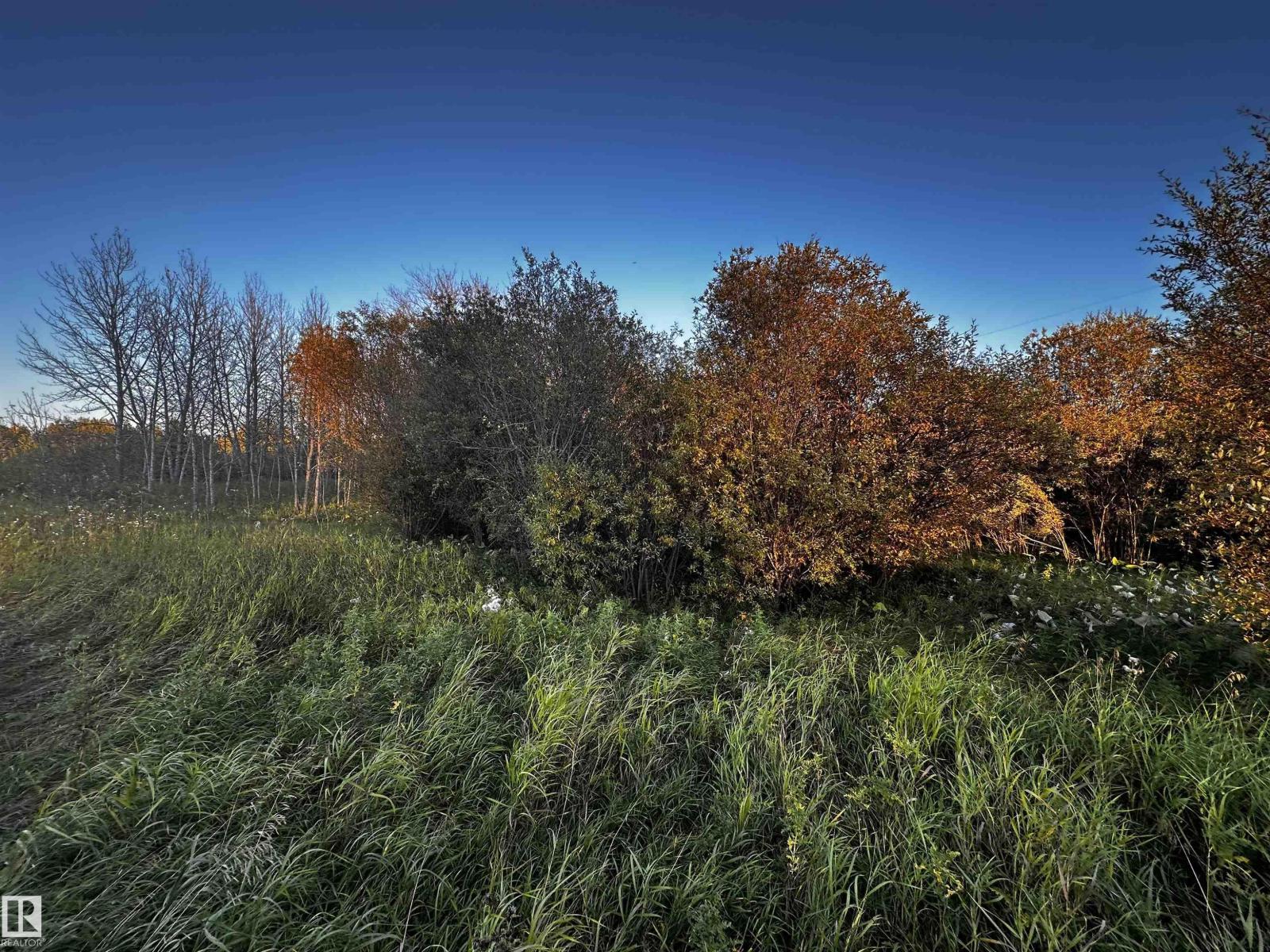 Photo 70