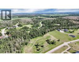 17 Hidden Valley Close, Rural Clearwater County, AB T4T2A2 Photo 17