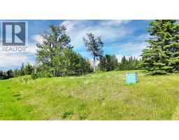 17 Hidden Valley Close, Rural Clearwater County, AB T4T2A2 Photo 14