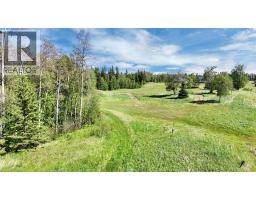 17 Hidden Valley Close, Rural Clearwater County, AB T4T2A2 Photo 13