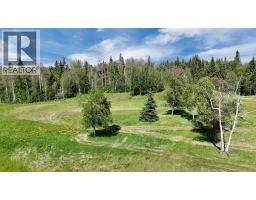 17 Hidden Valley Close, Rural Clearwater County, AB T4T2A2 Photo 11