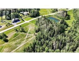 17 Hidden Valley Close, Rural Clearwater County, AB T4T2A2 Photo 9
