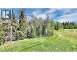 13 Hidden Valley Close, Rural Clearwater County, AB T4T2A2 Photo 15