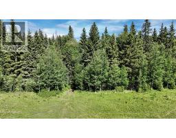 13 Hidden Valley Close, Rural Clearwater County, AB T4T2A2 Photo 32