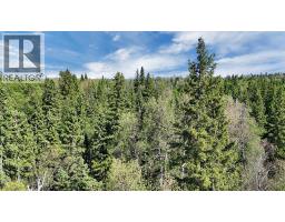 13 Hidden Valley Close, Rural Clearwater County, AB T4T2A2 Photo 18