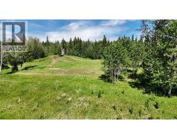 13 Hidden Valley Close, Rural Clearwater County, AB T4T2A2 Photo 33
