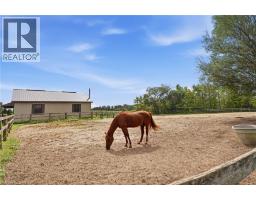 9064 Concession 11, Mount Forest, ON N0G2L0 Photo 44