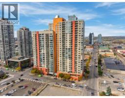 2014, 1053 10 Street Sw, Calgary, AB T2R1S6 Photo 22