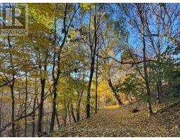 76 Ferris Road, Toronto, ON M4B1G4 Photo 43