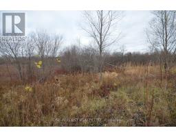 0 Loch Garry Road, North Glengarry, ON K0C1B0 Photo 9