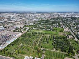 , Edmonton, AB T5P4Y3 Photo 20