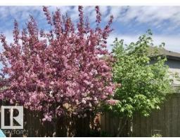 4015 Alexander Wy Sw, Edmonton, AB T6W2C5 Photo 52