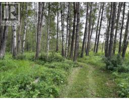 370040 Range Road 4-0, Rural Clearwater County, AB T0M0X0 Photo 49