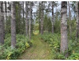370040 Range Road 4-0, Rural Clearwater County, AB T0M0X0 Photo 48