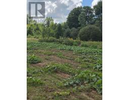 551 Darby Road, Welland, ON L0S1K0 Photo 50