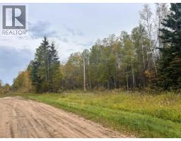 Twp 625 Rr210, Rural Thorhild County, AB T0A2P0 Photo 16