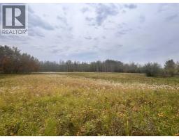 Twp 625 Rr210, Rural Thorhild County, AB T0A2P0 Photo 27