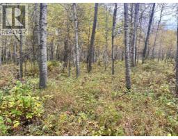 Twp 625 Rr210, Rural Thorhild County, AB T0A2P0 Photo 32