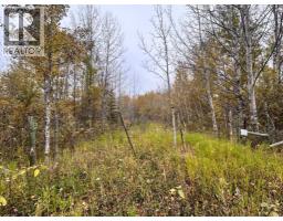 Twp 625 Rr210, Rural Thorhild County, AB T0A2P0 Photo 19