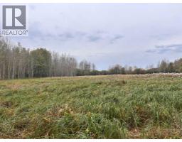 Twp 625 Rr210, Rural Thorhild County, AB T0A2P0 Photo 21