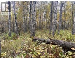Twp 625 Rr210, Rural Thorhild County, AB T0A2P0 Photo 31