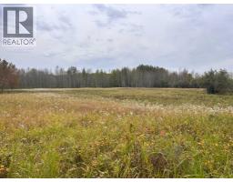 Twp 625 Rr210, Rural Thorhild County, AB T0A2P0 Photo 22