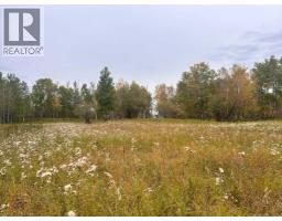 Twp 625 Rr210, Rural Thorhild County, AB T0A2P0 Photo 28