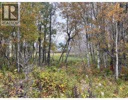 Twp 625 Rr210, Rural Thorhild County, AB T0A2P0 Photo 24