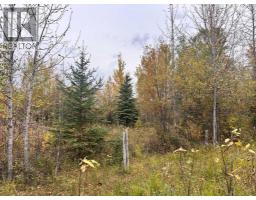 Twp 625 Rr210, Rural Thorhild County, AB T0A2P0 Photo 20