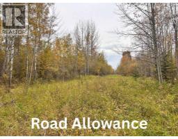 Twp 625 Rr210, Rural Thorhild County, AB T0A2P0 Photo 18