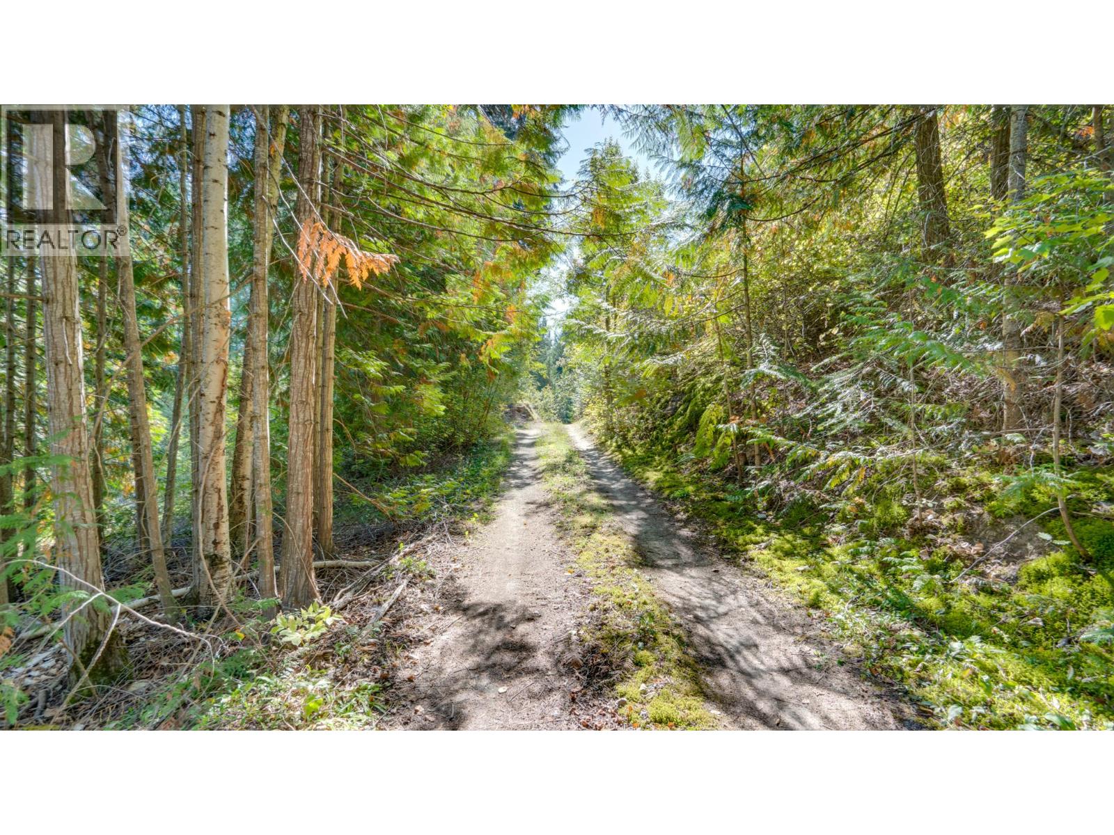 2452 Forest Drive - 44
